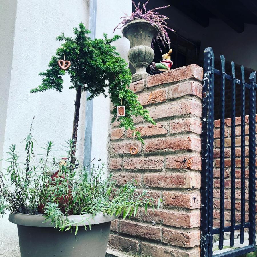 Apartmany Kovacska Kosice Exterior photo